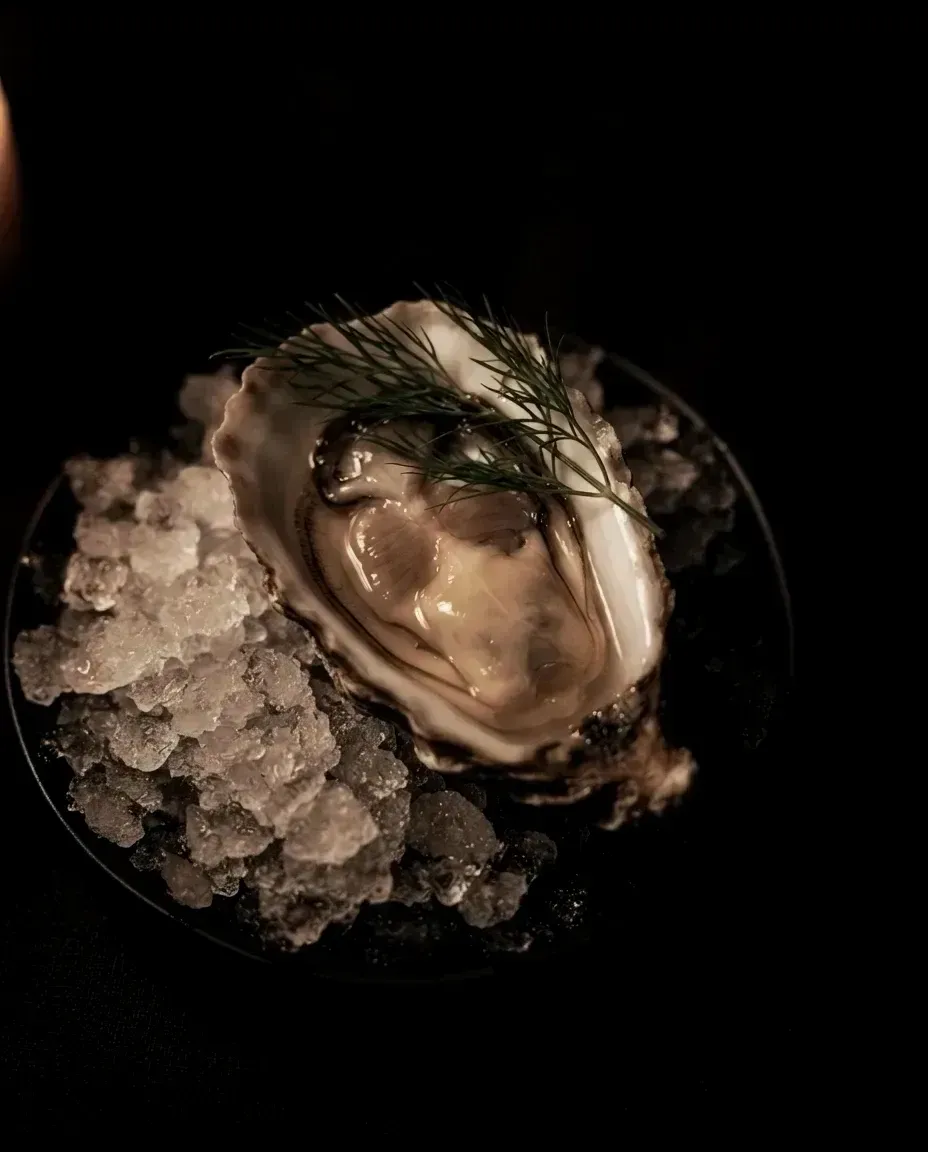 A single shucked oyster on the half shell resting on crushed ice with a dill frond, lit low against near-black